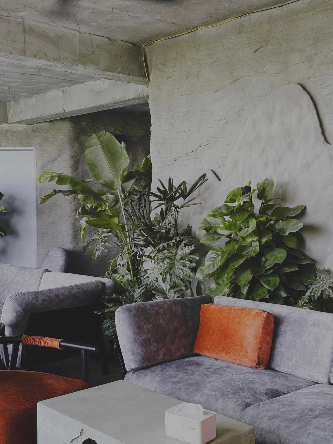 Photo by Hồng Na Na