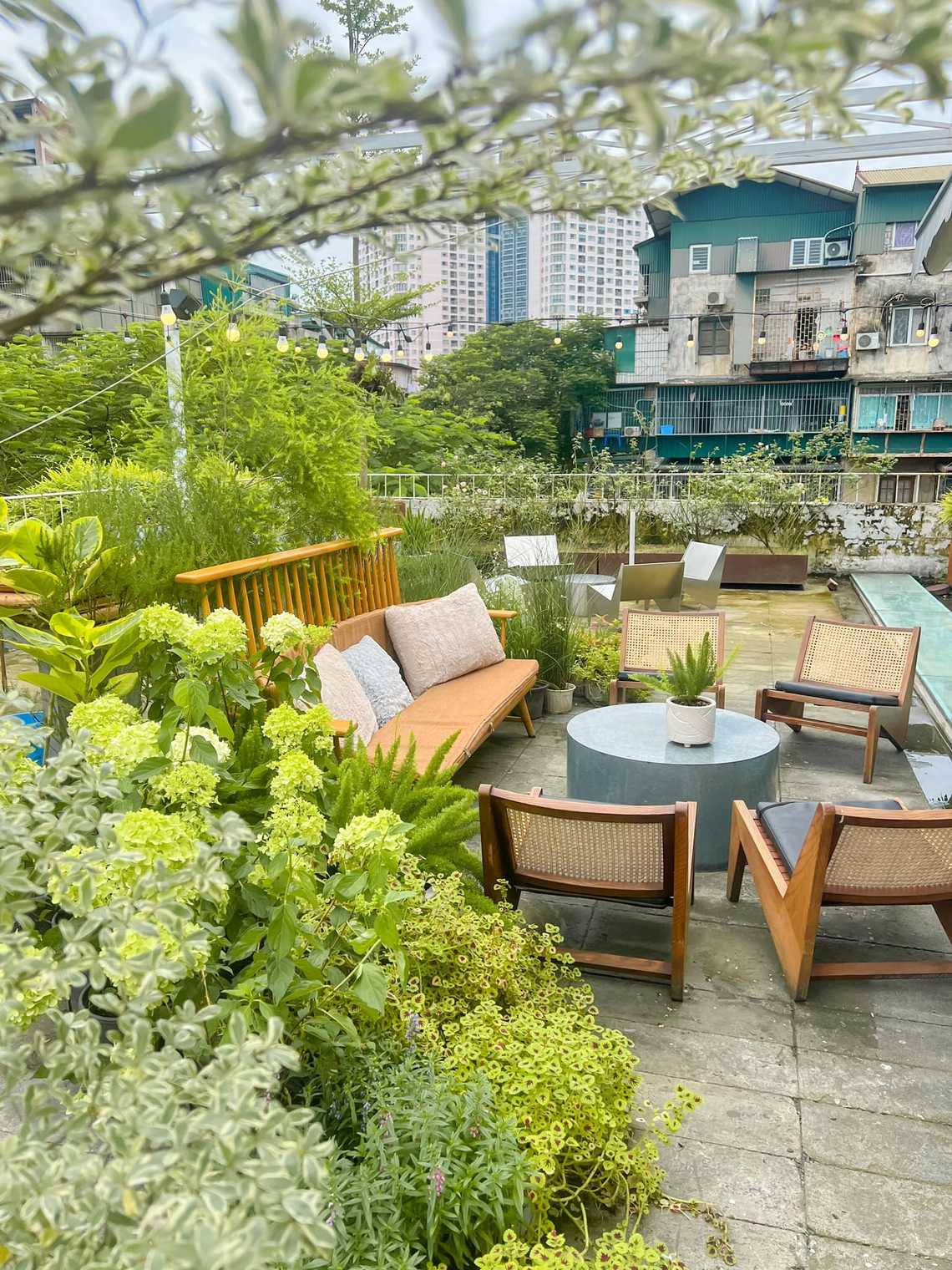 Photo by Linh Chi Bùi(instagram Chidicafe)