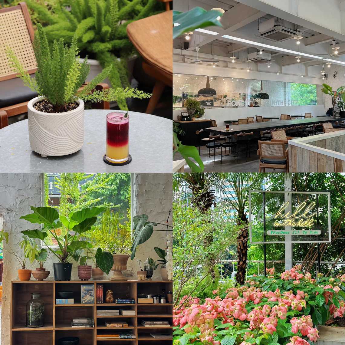 Photo by Linh Chi Bùi(instagram Chidicafe)