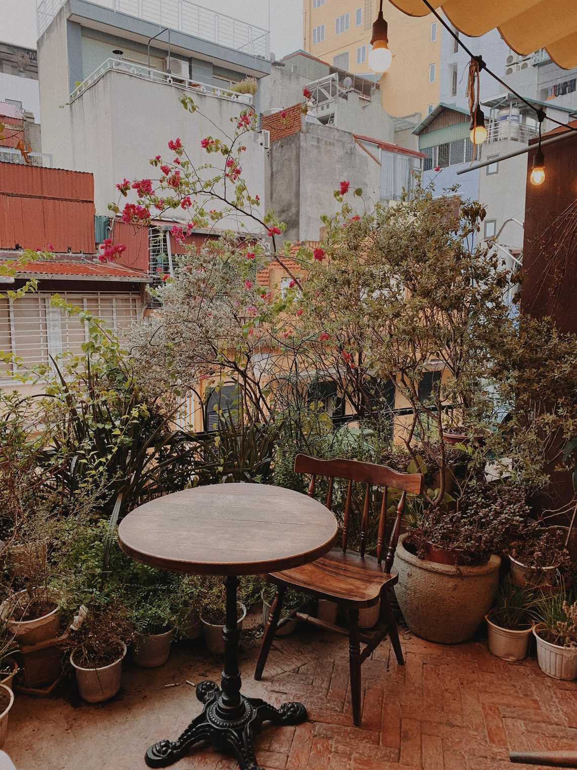 Photo by Bông Bông