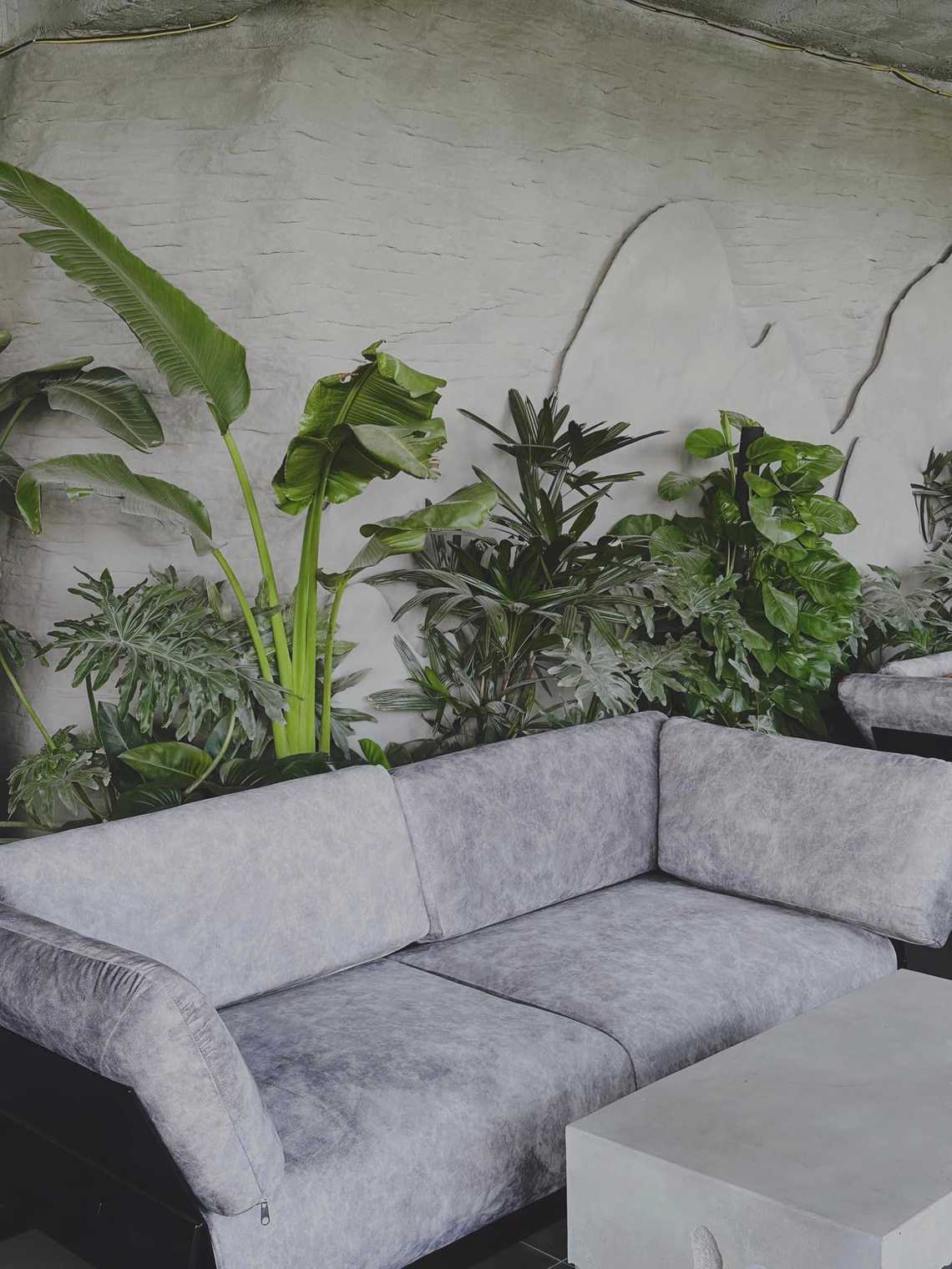 Photo by Hồng Na Na