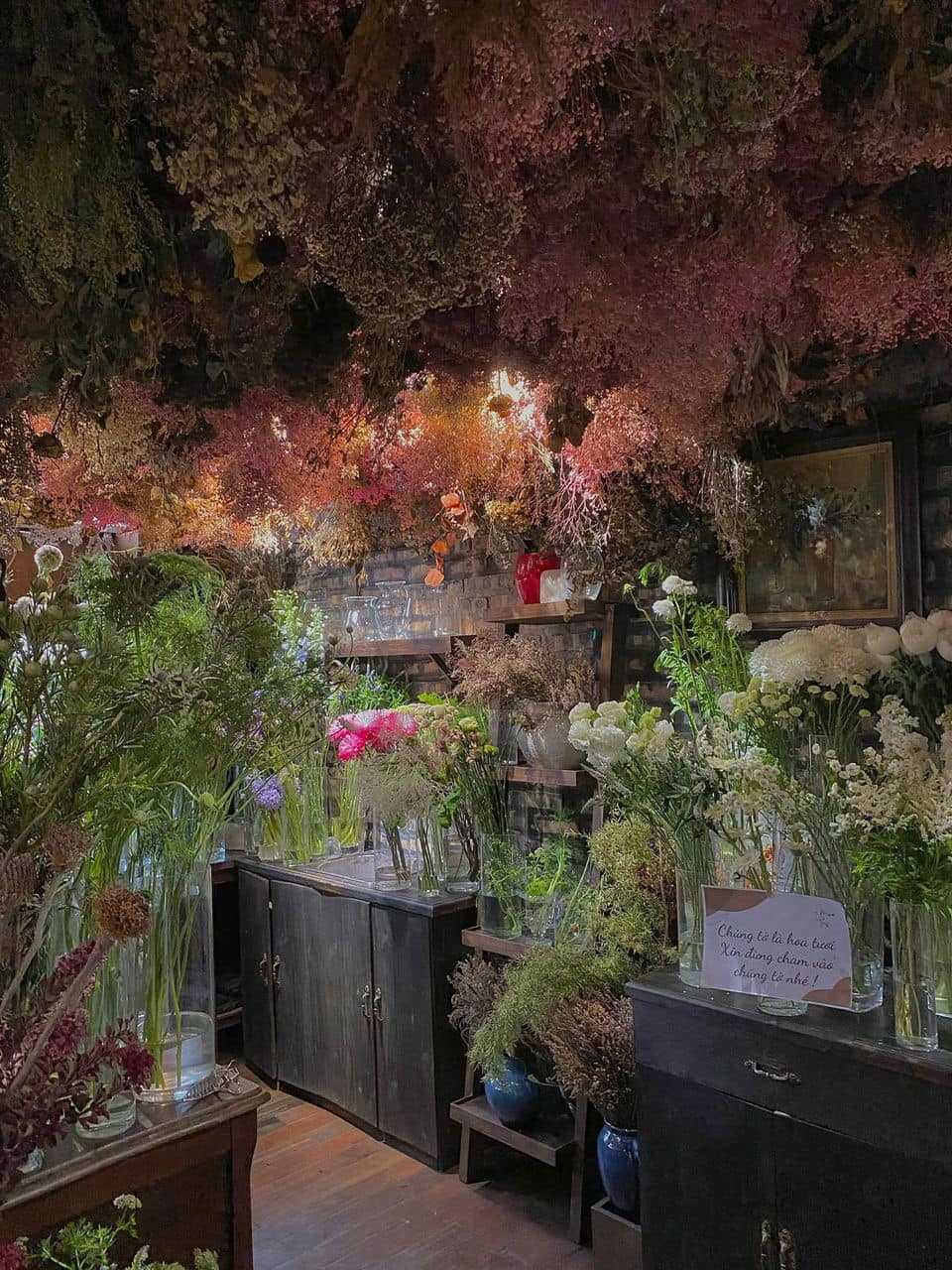 Photo by Bông Bông