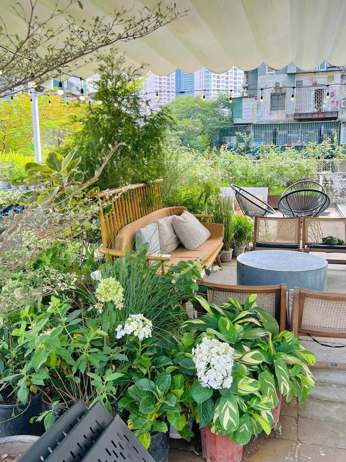 Photo by Linh Chi Bùi(instagram Chidicafe)