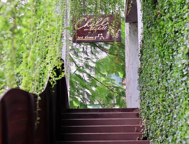 Fordeer Coffee - A Hidden Forest