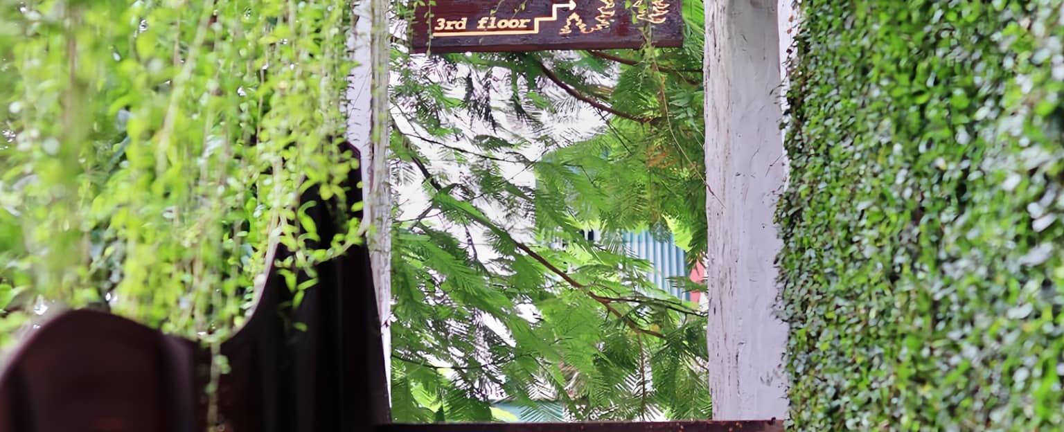 Fordeer Coffee - A Hidden Forest