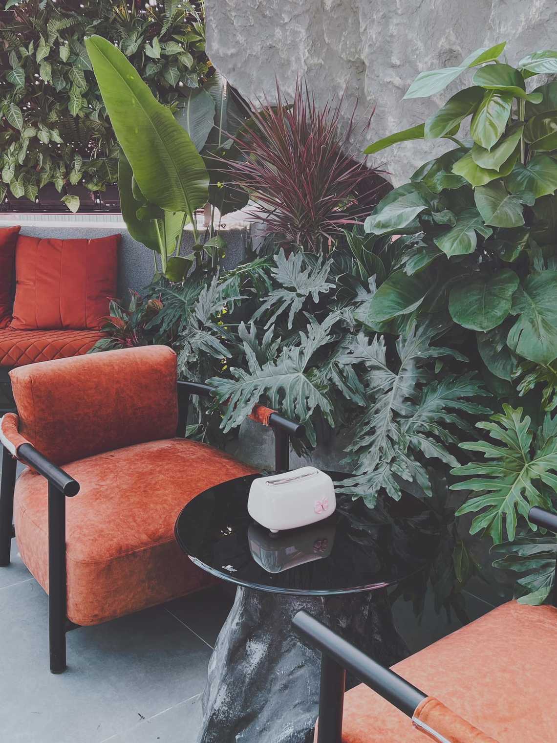 Photo by Hồng Na Na