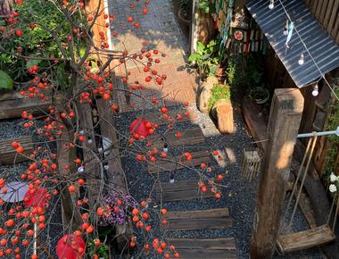 Exploring Waha Coffee - A Unique Blend of Culture and Tranquility