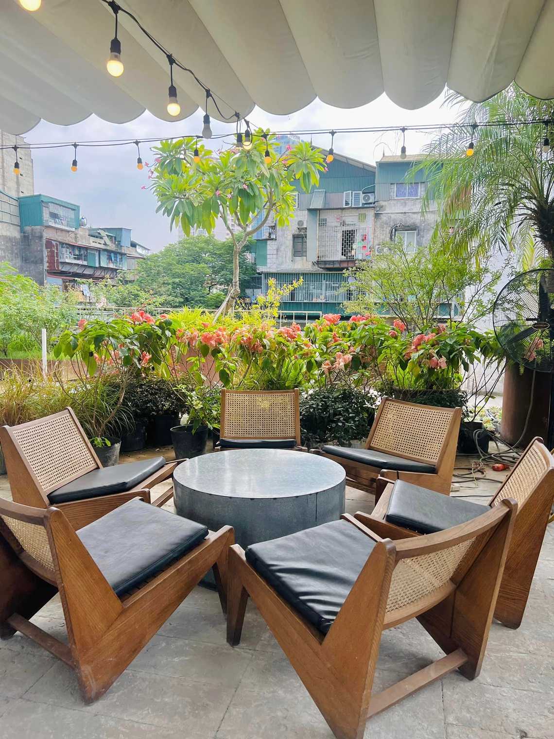 Photo by Linh Chi Bùi(instagram Chidicafe)