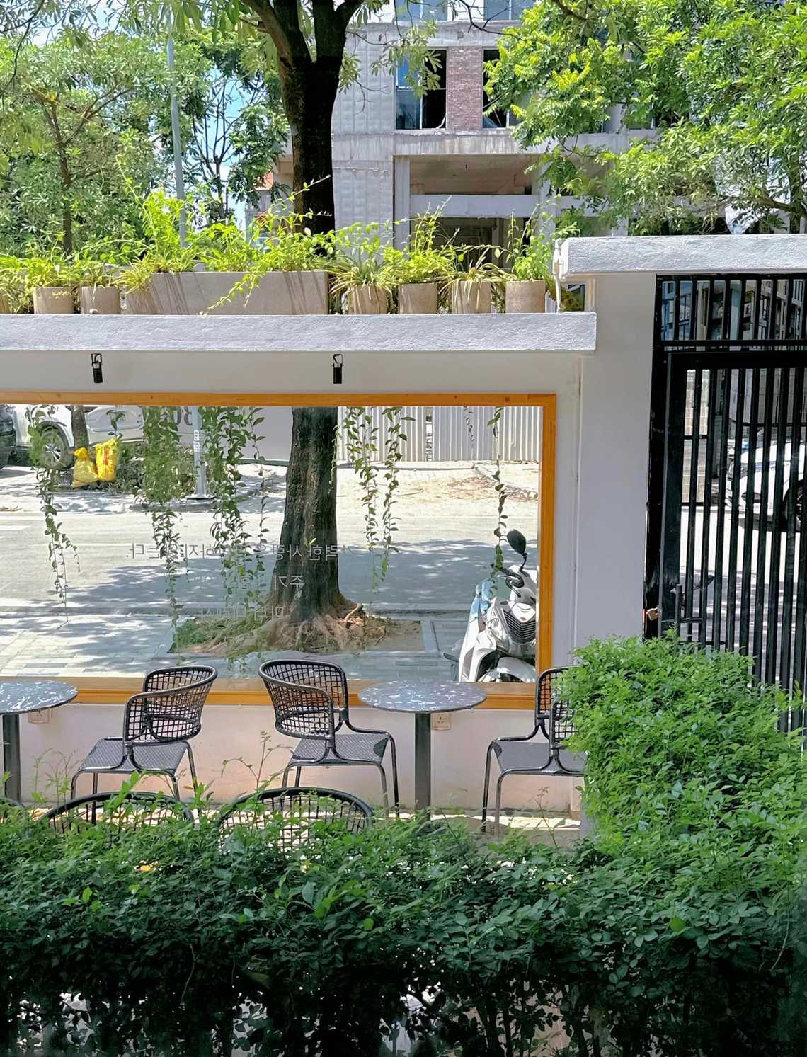 Photo by Linh Chi Bùi(instagram Chidicafe)